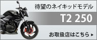 T2 250 �戵�X�͂�����